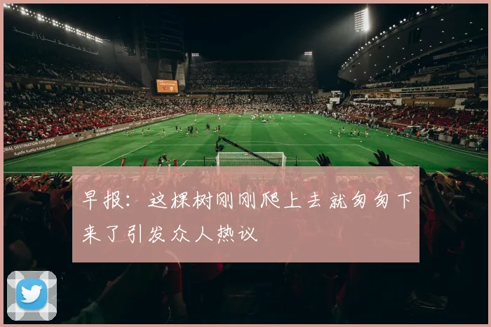 早报：这棵树刚刚爬上去就匆匆下来了引发众人热议