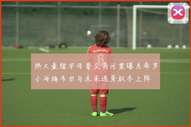 热火豪赌字母哥交易方案曝光希罗小海梅韦尔与未来选秀权齐上阵