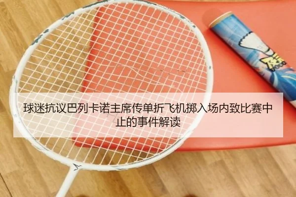 球迷抗议巴列卡诺主席传单折飞机掷入场内致比赛中止的事件解读 - yaxin